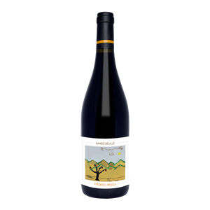 Frédéric Brouca "Samsó Seulle" 2020, Vin de France