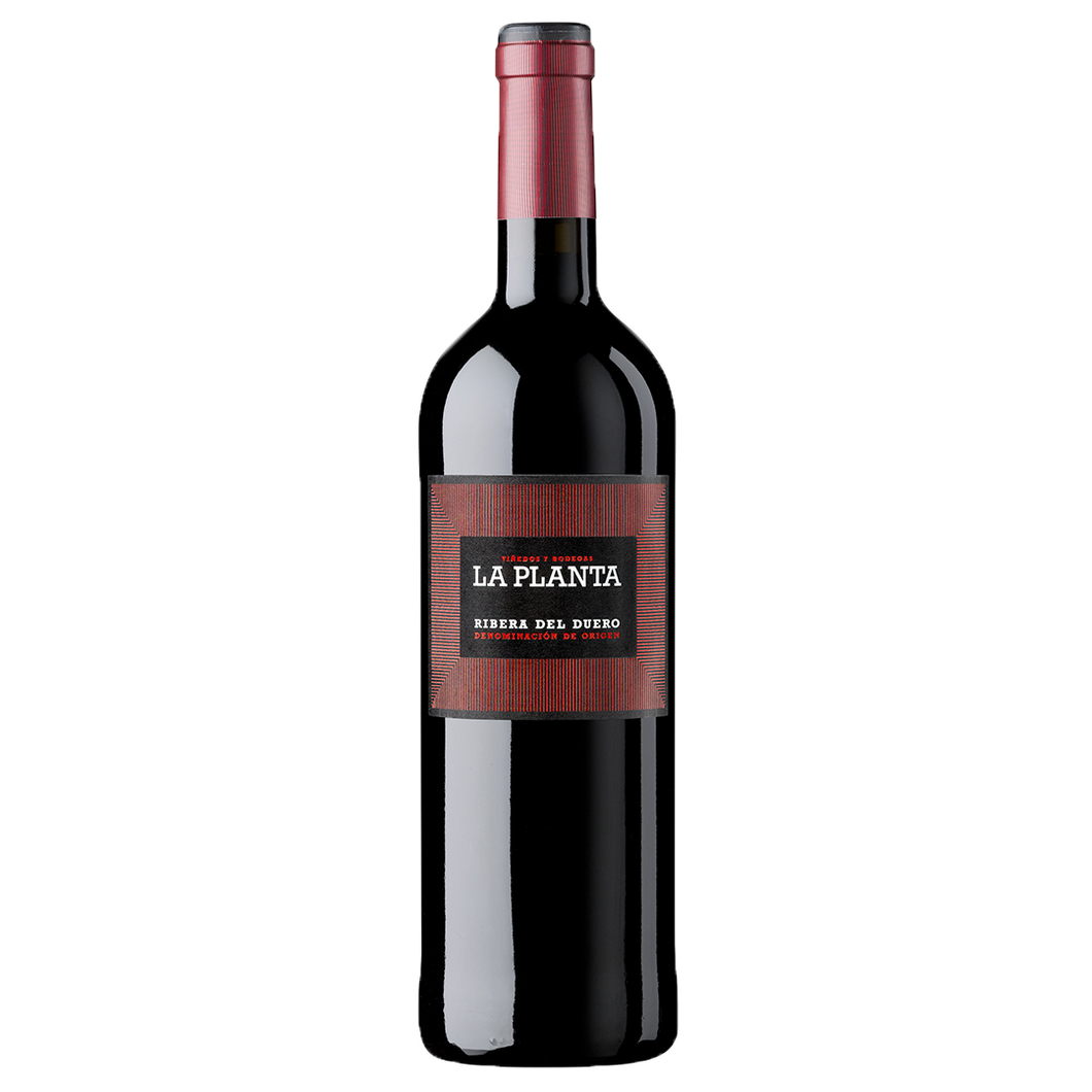 Arzuaga La Planta 2020 Magnum, Ribera Del Duero